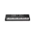 TECLADO ALESIS 61PRO HARMONY Bess Shop