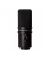 MICROFONE ZOOM ZUM-2 USB Bess Shop