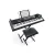 TECLADO ALESIS 61KM3 HARMONY Bess Shop