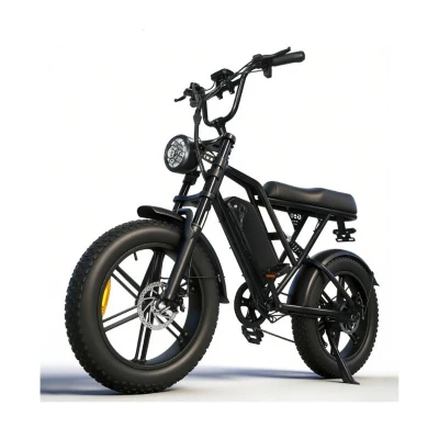BICICLETA ELETRICA BLULORY G60 Bess Shop